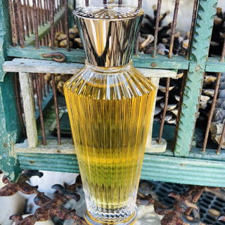 Trayee - Neela Vermeire Créations