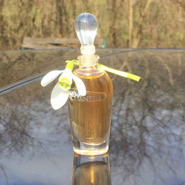 White Chantilly (Eau de Toilette) - Dana