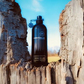 Aromatic Lime - Montale