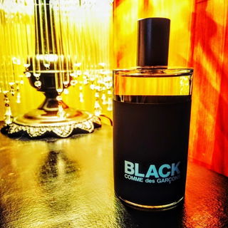 Black Comme des Garçons - Comme des Garçons