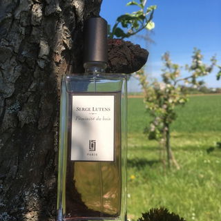 Féminité du bois von Serge Lutens