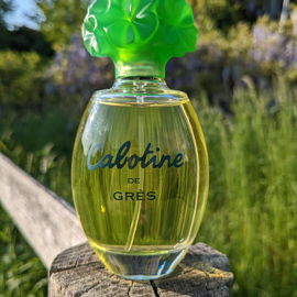 Cabotine , Zierde der Zaunlatten 🙂