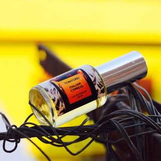Italian Cypress - Tom Ford