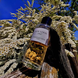 New Look 1947 - Dior