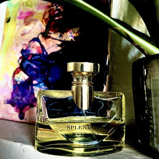 Splendida - Iris d'Or von Bvlgari