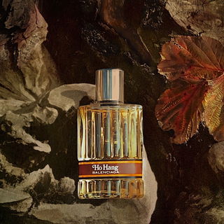... balancierender Balenciaga ... ;))