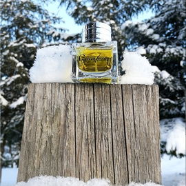Lost in the snow...