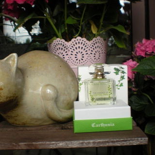 Essence of the Park / The Essence of Central Park (Profumo) - Carthusia