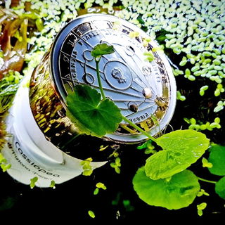 Cassiopea (Extrait de Parfum) von Tiziana Terenzi