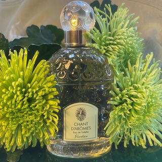 Chant d'Arômes (Eau de Toilette) by Guerlain