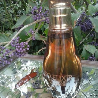 So Elixir Bois Sensuel by Yves Rocher