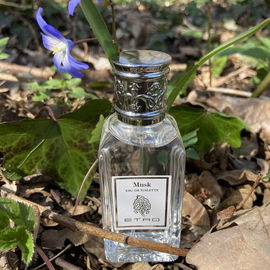 Musk (Eau de Toilette) - Etro