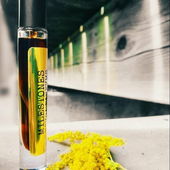 Unter den Brücken.Am Oudfluss (von Seejungfrau)