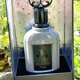 Stallion - Zimaya
