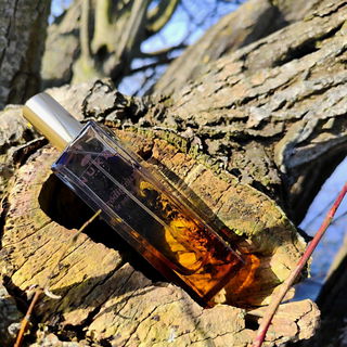 Prodigieux - Le Parfum von Nuxe