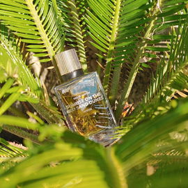 L'Homme Lacoste Intense - Lacoste