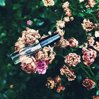 Desert Rose - Urban Scents