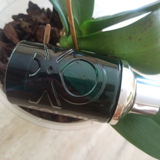 Colors de Benetton Man Green von Benetton