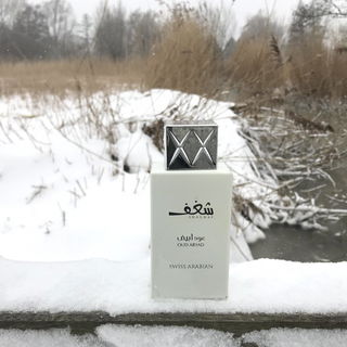 Shaghaf Oud Abyad by Swiss Arabian