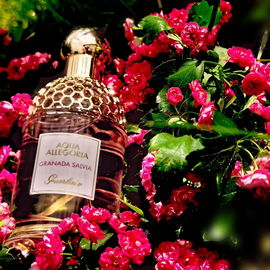 Aqua Allegoria Granada Salvia - Guerlain