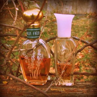 Vanilla Fields (Cologne) - Coty