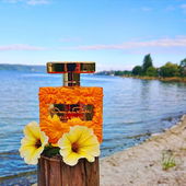 🧡💦☀️ Der Sommer ist wieder zurück ☀️💦🧡 Danke Euch allen 🥰 (von MadameLegras)