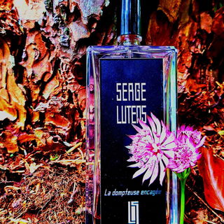 La dompteuse encagée