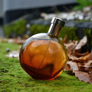 L'Ambre des Merveilles by Hermès