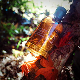 Rich/Warm/Addictive (Eau de Toilette) - Zara