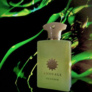 Meander by Amouage