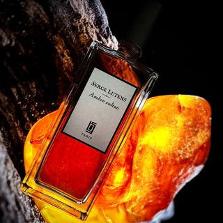 Ambre sultan (Eau de Parfum) by Serge Lutens