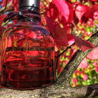 Bottega Veneta Eau de Velours von Bottega Veneta