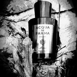 Colonia Mirra - Acqua di Parma