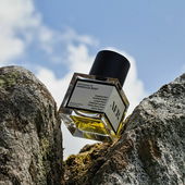 Heute ist Gegenteiltag oder: Im Himmel verwurzelt. Aufgenommen auf der Burgmauer des Carnasserie Castle - Vielen Dank für eure lieben Worte (von DrHildegard)