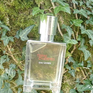 Terre d'Hermès Eau Givrée von Hermès