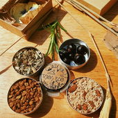 Ursa Minor weicht im Morgengrauen - dunsten sumpfigfeuchte Eukalyptusnebel - wispern Moorbeeren BlueDreamTerpene. 