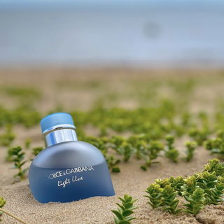 Follow our Instagram: designiche.frags for more beautiful pictures like this ;)