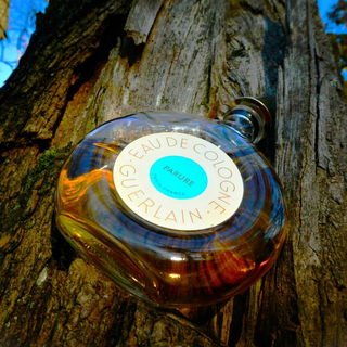 Parure (Parfum) von Guerlain