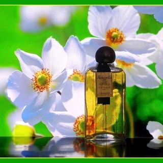 Narcyolis Extrait 90° - Carnaud