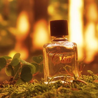 Cléa (Eau de Toilette) - Yves Rocher