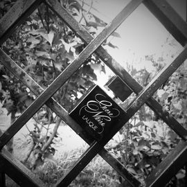 Encre Noire pour Elle - Lalique