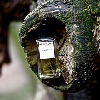 ACHTUNG - das ist die 2000er Vision EdC, nicht 2014