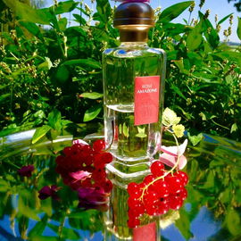 Rose Amazone - Hermès