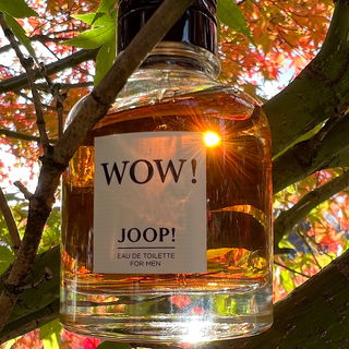 Wow! for Men (Eau de Toilette) - Joop!