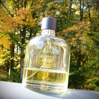 Dolce & Gabbana pour Homme (2012) (Eau de Toilette) von Dolce & Gabbana