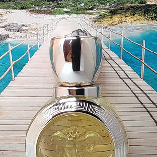 Eros pour Femme (Eau de Toilette) - Versace