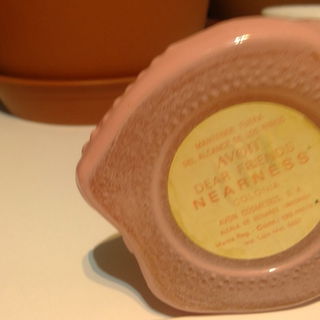 Nearness (Cologne) by Avon