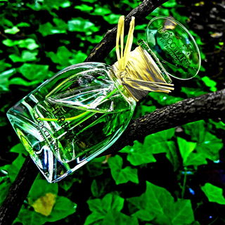 Ortie Blanche / Herbae - L'Occitane en Provence