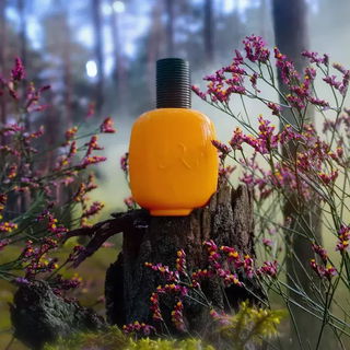 Vanille Paradoxe - Les Parfums de Rosine