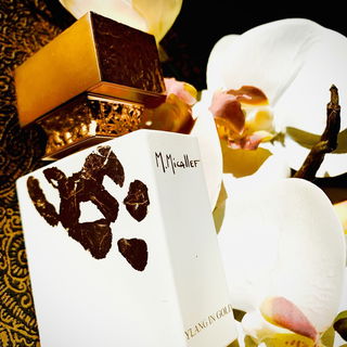 Ylang In Gold Edition Speciale von M. Micallef